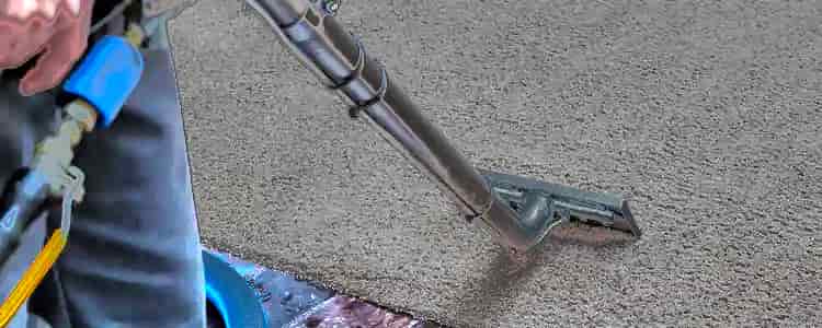 Best End of Lease Carpet Cleaning Garran